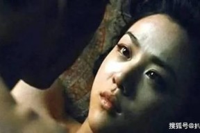 国产成人版,探索中国影视新领域